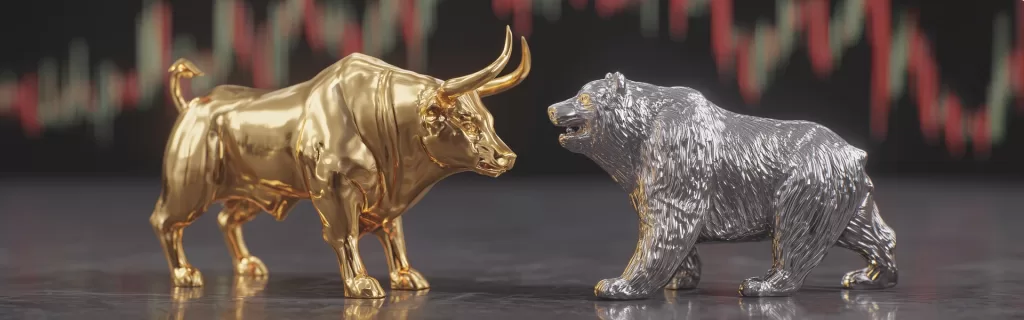 Bull and bear for stock market and economy