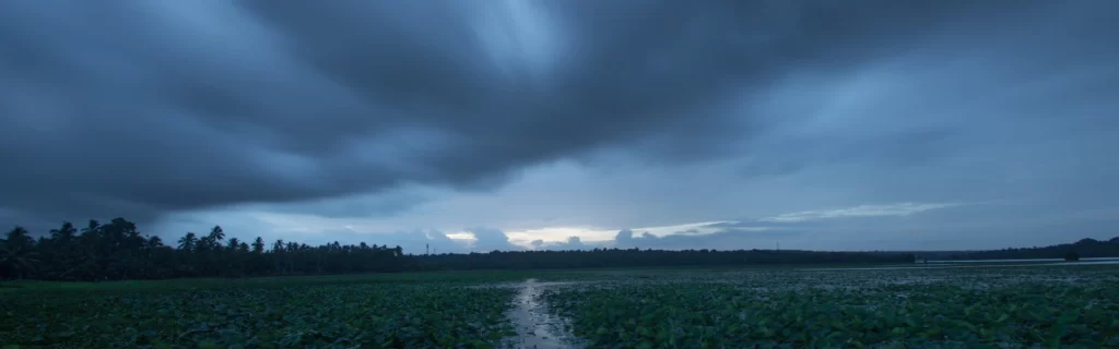 Indian Monsoon Season: Boom or Bust for Agriculture & FMCG?