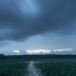 Indian Monsoon Season: Boom or Bust for Agriculture & FMCG?