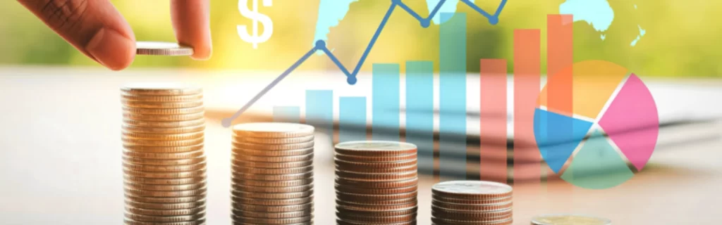 Portfolio Diversification and Risk Management for HNIs