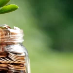 Non-Discretionary Investment Management: DIY vs PMS