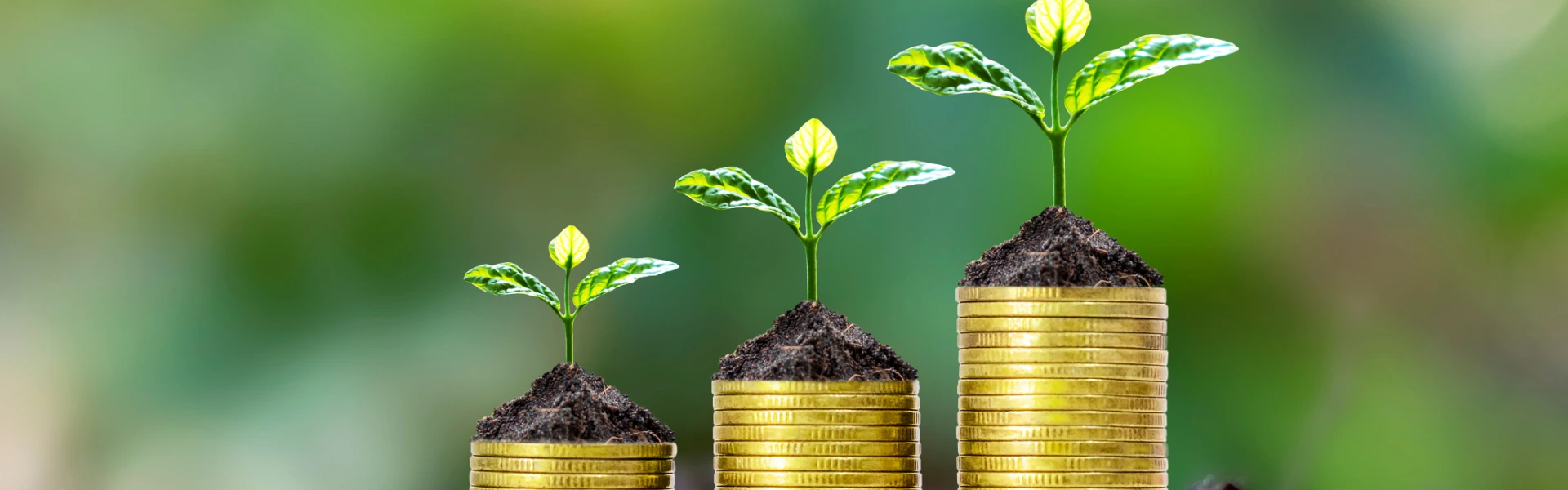 Wealth Creation Plan for 2026: India’s Economic Tailwinds