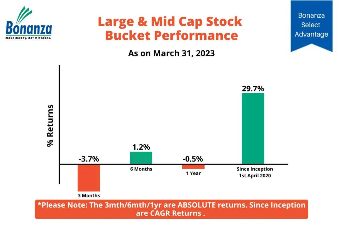 large-mid Large And Mid Cap